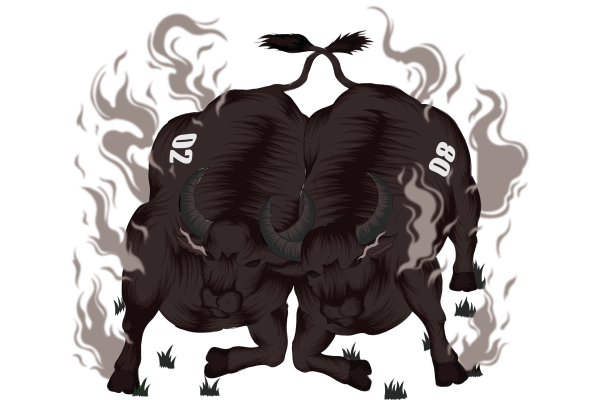FIGHTING BUFFALOS