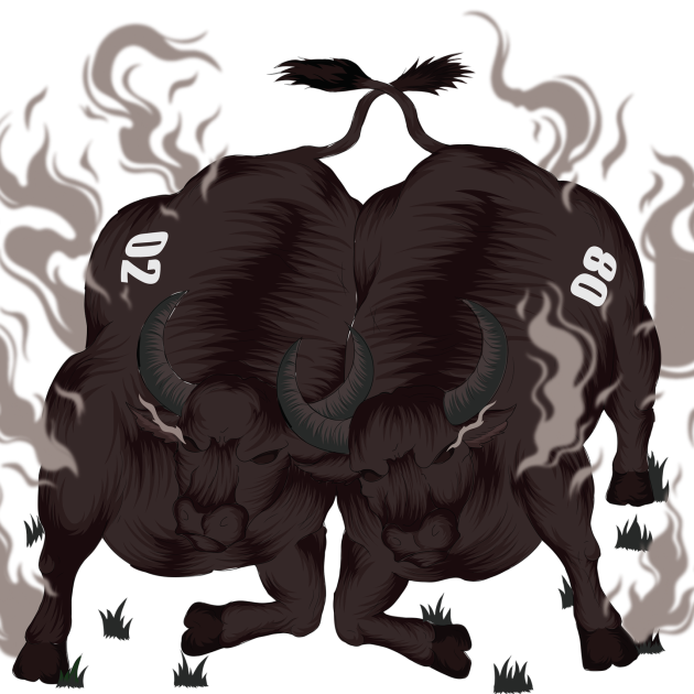FIGHTING BUFFALOS